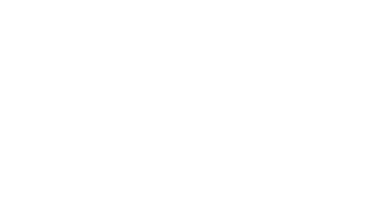 Midnight Fleet